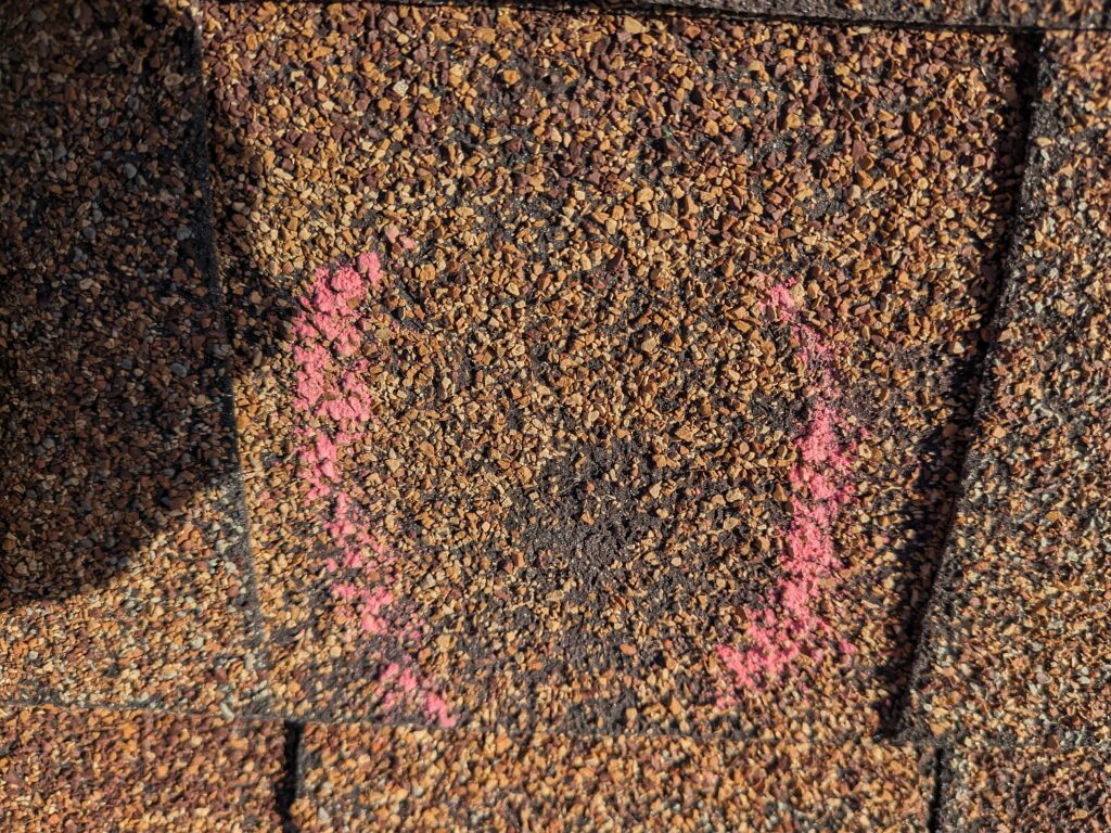Hail damaged shingle