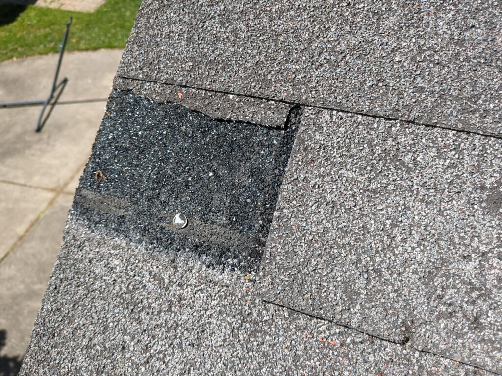 Wind torn Shingle