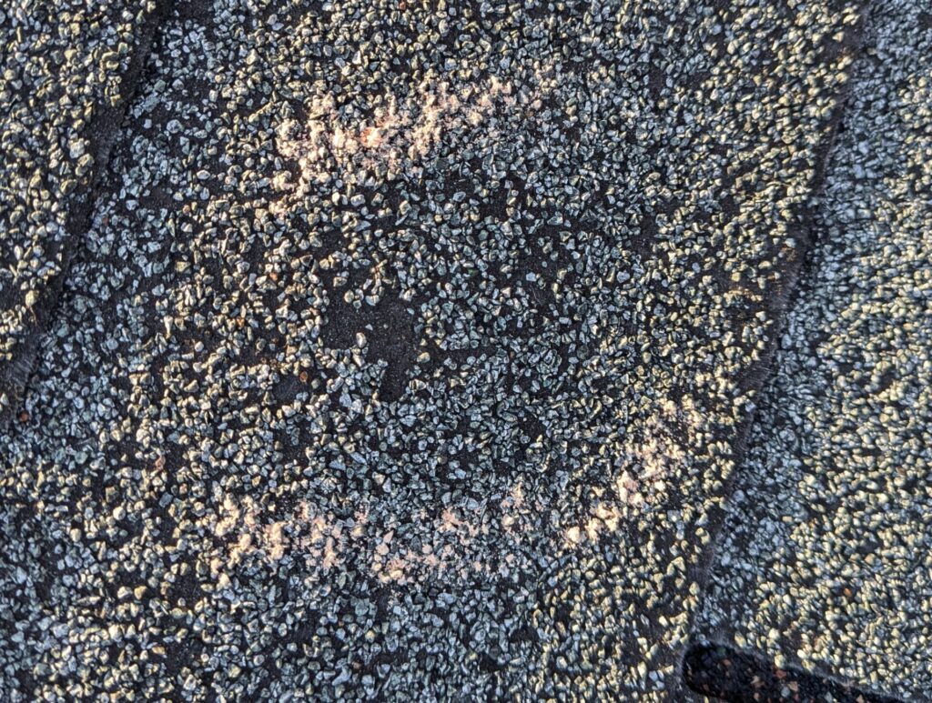 Hail damaged shingle