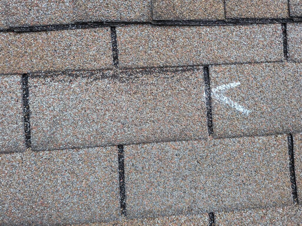 Shingle granule loss along crease line