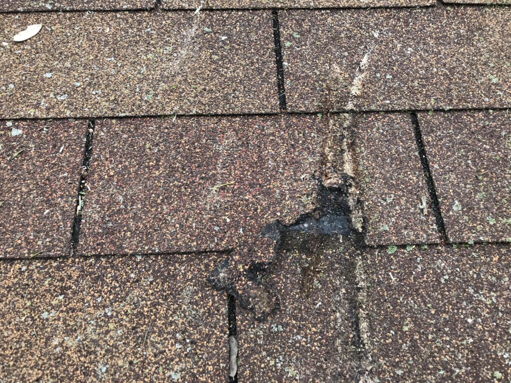 Minor branch impact on roof surface
