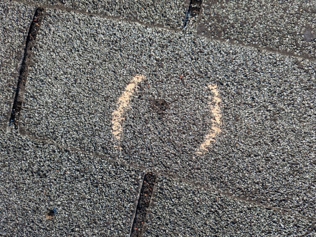 Hail damaged shingle